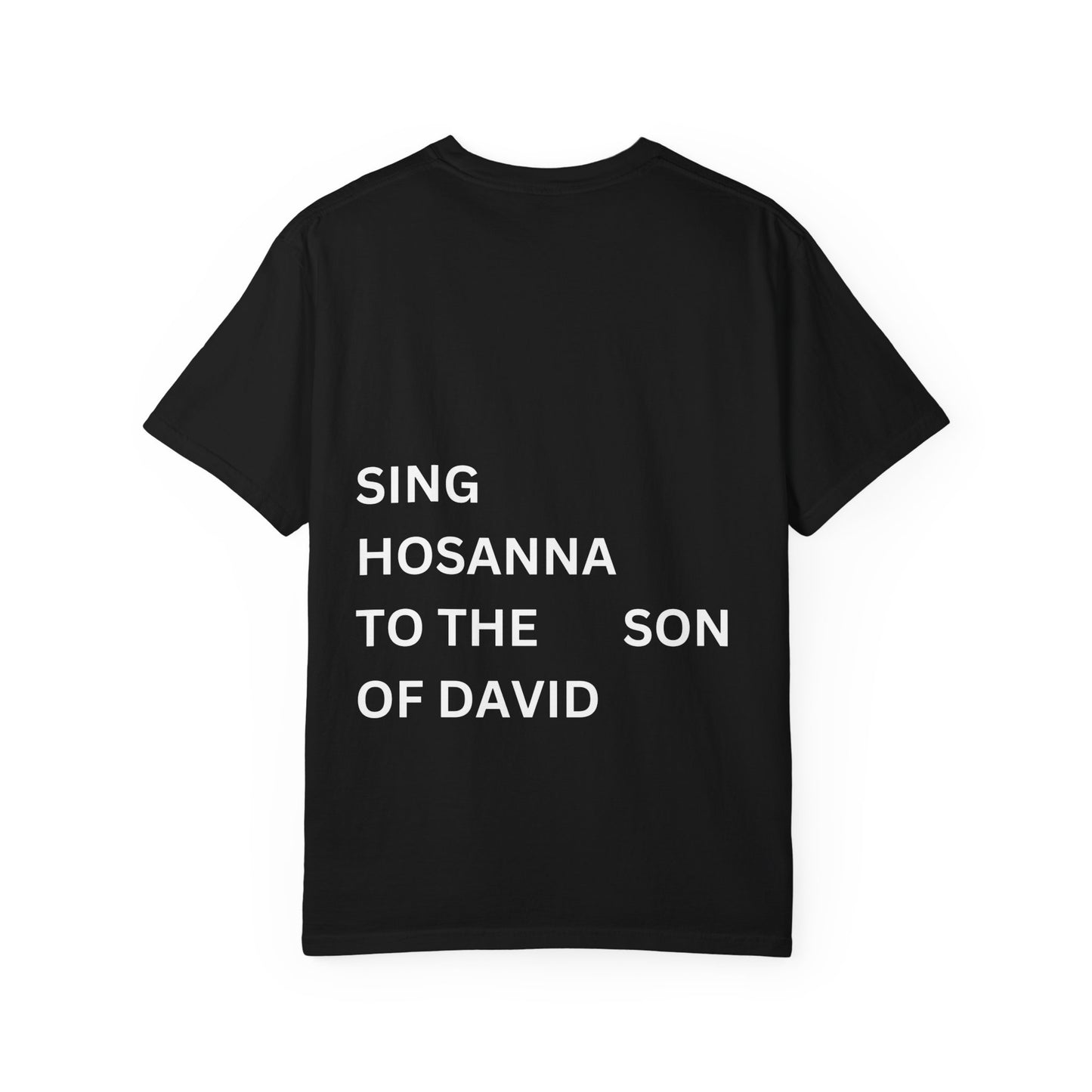 Son Of David