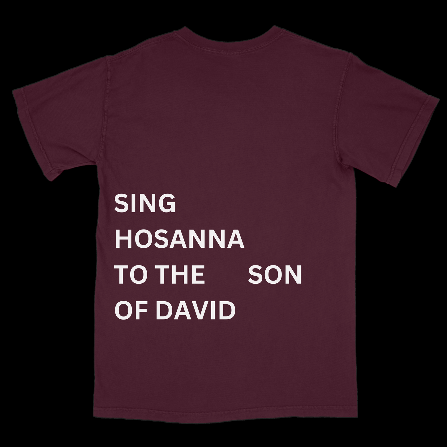 Son Of David